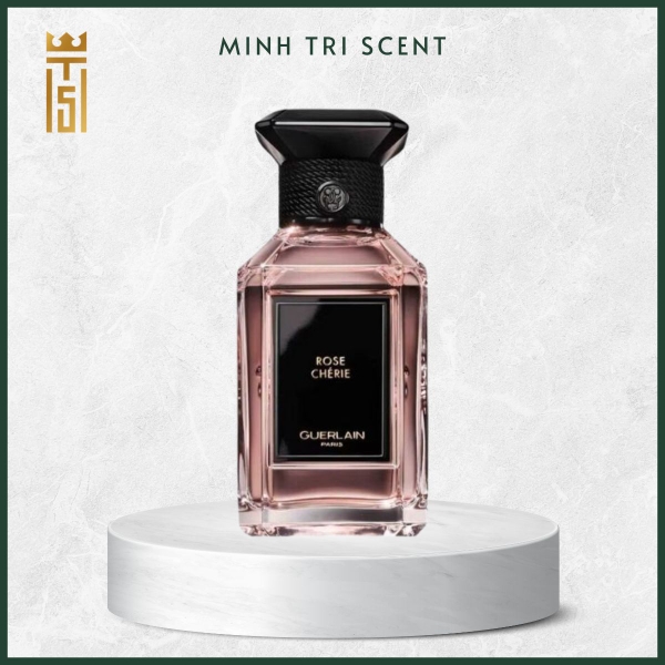 hinh-web-1200-x-1200-px-55-