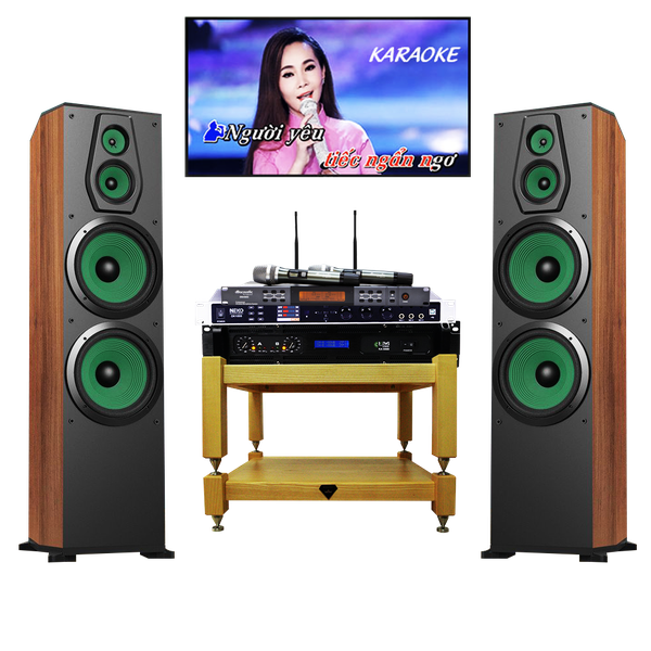 Bộ Dàn Karaoke TH07 Loa PARAMAX F2500 + Đẩy KA 5000 +Vang Số DK1000 +Micro Db450ii