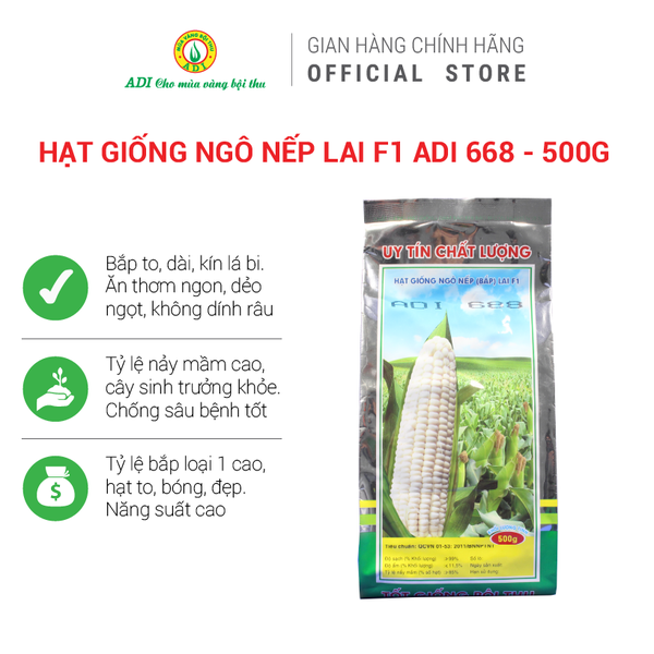 Hạt giống ngô nếp lai F1 ADI 668