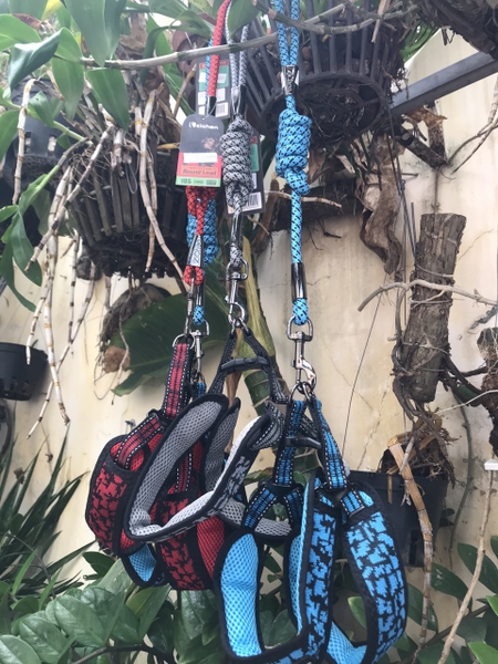 SLC Dây ngực bản 0.6 size S (ZC1799)