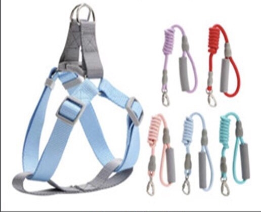 Đai Yếm ánh kim bản tròn 0.8