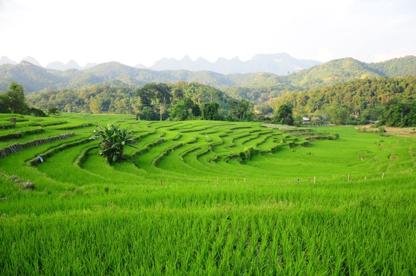 Tour Hà Giang City Tour | 1 Ngày
