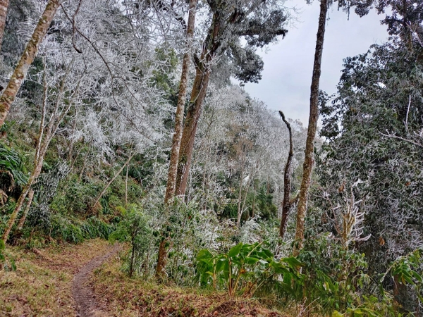 Tour Hà Giang City Tour | 2 ngày 1 đêm