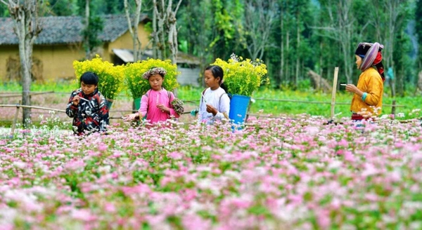 Tour Hà Giang Xe Tự Lái | 4 ngày 3 đêm | Oto riêng