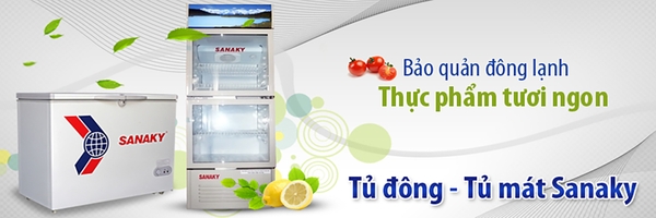 Tủ đông Sanaky