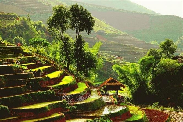 Cẩm nang du lịch Tú Lệ