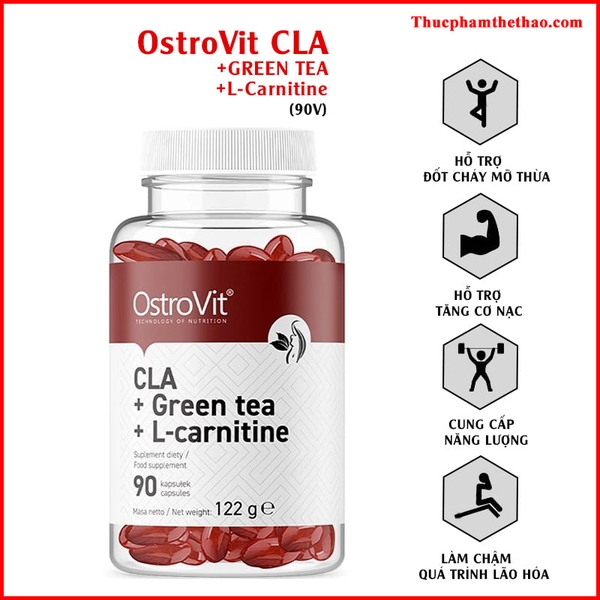 OSTROVIT CLA + GREEN TEA + L-CARNITINE (90v)