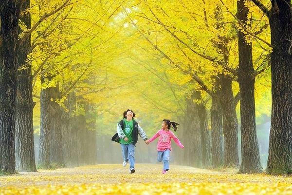 Địa điểm ngắm mùa thu ở châu Á tuyệt đẹp