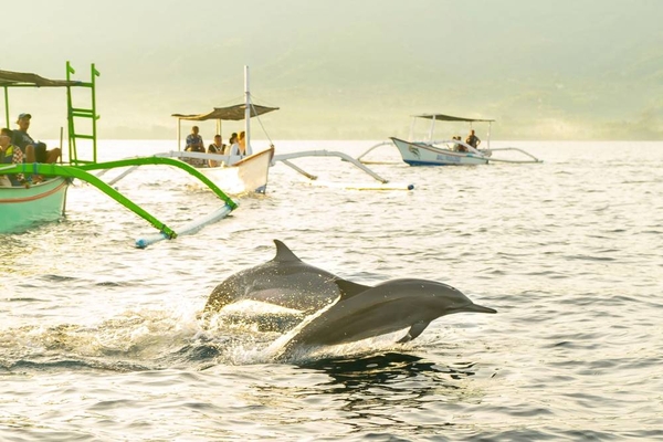 Báo Quốc tế đưa tin về: Hành trình đỉnh cao khám phá Bali và ngắm cá heo Lovina