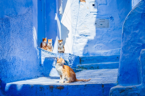 Khám phá sắc màu kiến trúc Maroc