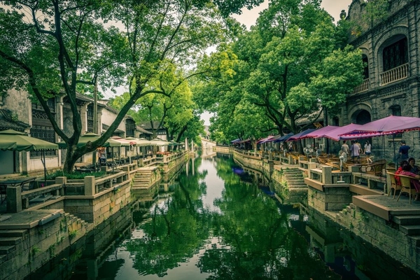 Mùa xuân Thượng Hải có gì khiến lữ khách say lòng