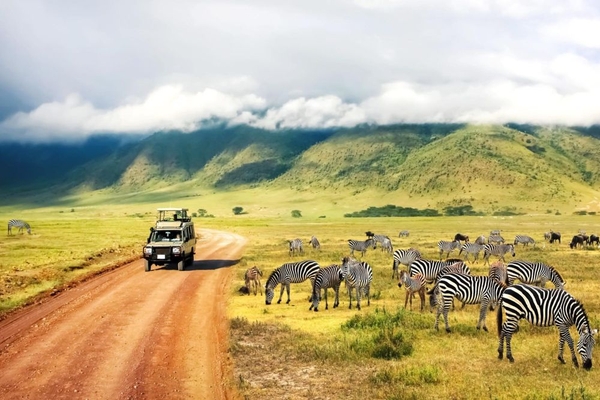 Trọn bộ thủ tục và kinh nghiệm xin visa du lịch Nam Phi 2023