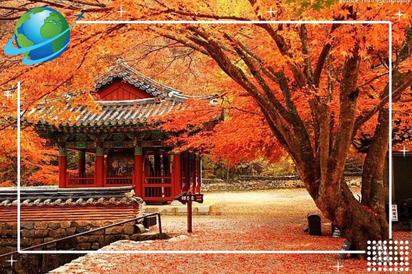 ĐI TOUR NHẬT BẢN THÁNG 10 - THỜI ĐIỂM VÀNG CHO DU LỊCH NHẬT BẢN