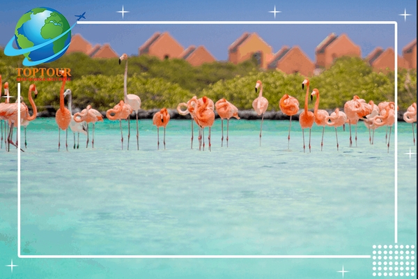 DỊCH VỤ LÀM VISA BONAIRE CHẤT LƯỢNG UY TÍN TẠI TPHCM