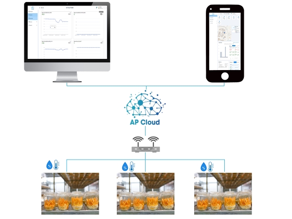 Giải pháp IoT giám sát từ xa phòng nuôi Đông Trùng Hạ Thảo