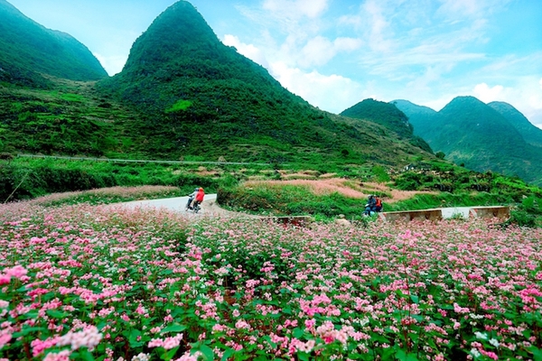 Du lịch Hà Giang | Tour Hà Nội - Hà Giang - Lũng Cú - Sông Nho Quế [4 Ngày 3 Đêm] Khởi hành từ HCM