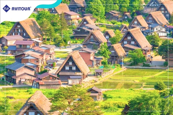 Du lịch Nhật Bản hè 2023| Hà Nội - Gifu - Làng cổ Shirakawa-go - Thưởng thức Bò Hida nổi tiếng - Đập nước Kurobe - Núi Phú Sĩ - Tắm Onsen - Yamanashi - Thủ đô Tokyo