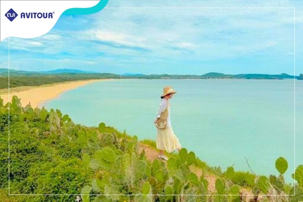 Du lịch Quy Nhơn - Phú Yên 2023| Khám phá Eo Gió – Đảo Kỳ Co – Gành Đá Đĩa