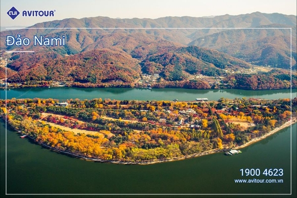 Đắm Chìm Sắc Thu Hàn Quốc: HÀ NỘI - SEOUL - NAMI – HÁI TÁO, HÁI LÊ - VƯỜN HOA – BUSAN – DU THUYỀN 5* – HÀ NỘI