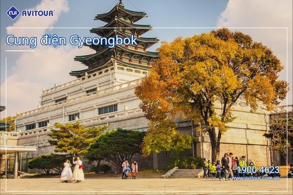 Đắm Chìm Sắc Thu Hàn Quốc: HÀ NỘI - SEOUL - NAMI – HÁI TÁO, HÁI LÊ - VƯỜN HOA – BUSAN – DU THUYỀN 5* – HÀ NỘI