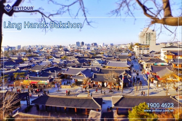 Đắm Chìm Sắc Thu Hàn Quốc: HÀ NỘI - SEOUL - NAMI – HÁI TÁO, HÁI LÊ - VƯỜN HOA – BUSAN – DU THUYỀN 5* – HÀ NỘI