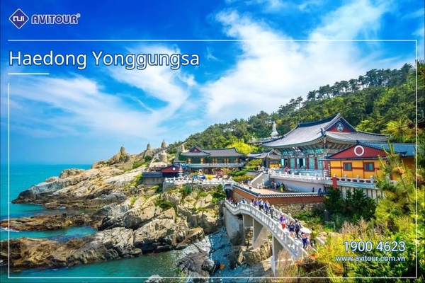 Đắm Chìm Sắc Thu Hàn Quốc: HÀ NỘI - SEOUL - NAMI – HÁI TÁO, HÁI LÊ - VƯỜN HOA – BUSAN – DU THUYỀN 5* – HÀ NỘI