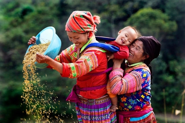 Tour Du Lịch Hà Giang | ĐỒNG VĂN - SÔNG NHO QUẾ - LŨNG CÚ - MÈO VẠC [3 Ngày 2 Đêm] Từ Hà Nội