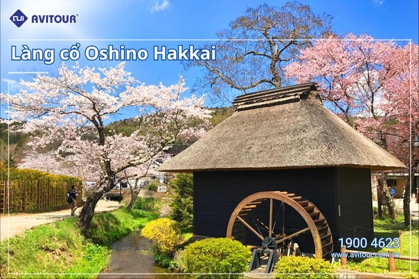 Du lịch Cung Đường Mùa Xuân 2024| Nagoya – Osaka – Kyoto – Fuji Moutain - Tokyo