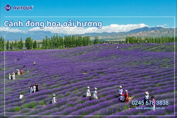 TOUR LỄ 30/04/2025: DU LỊCH TÂN CƯƠNG