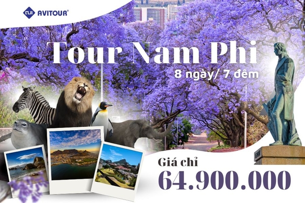 Tour Du lịch Nam Phi 2023| Johannesburg – Pretoria –  Mabula Game Lodge - Cape Town – Thị Trấn Hermanus