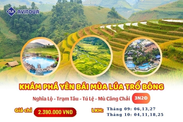 Yên Bái mùa lúa Vàng 2024: HÀ NỘI – NGHĨA LỘ - TRẠM TẤU – TÚ LỆ - MÙ CANG CHẢI – HÀ NỘI