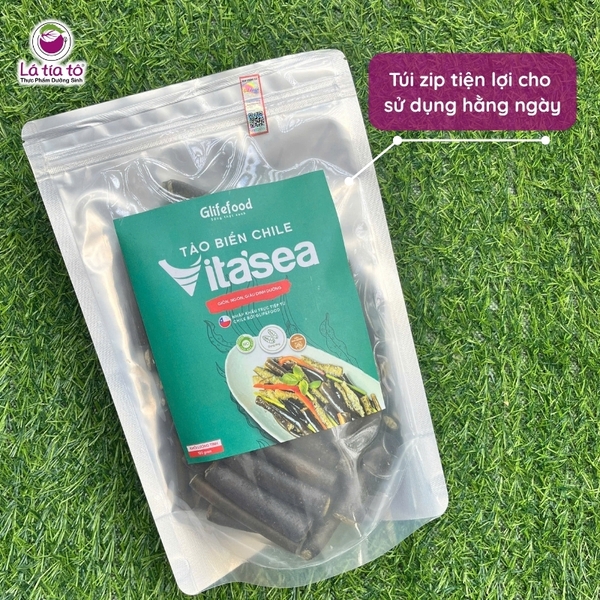 Tảo ống biển Chile