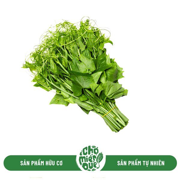 Đọt Su hữu cơ - Kg