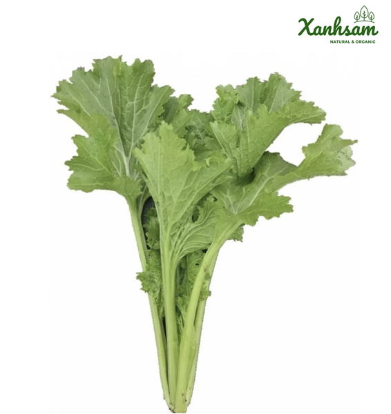 Cải mèo hữu cơ - TCVN - Mai Linh farm - Túi