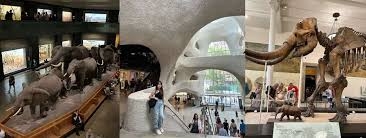 ngoisaotour.net - Central Park và Bảo tàng Lịch sử Tự nhiên (New York)