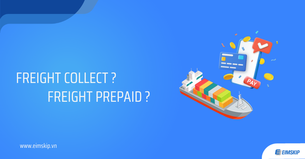 Freight collect là gì? Freight prepaid là gì? Khác nhau ra sao?