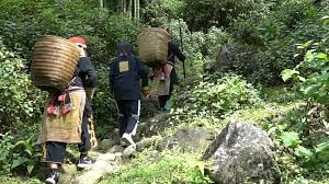 EASY TREKKING ( DAY TOUR )