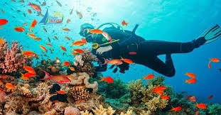 QUY NHƠN_  KỲ CO _ EO GIÓ