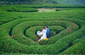 HÀ NỘI _ MỘC CHÂU _ CẦU KÍNH BẠCH LONG _ HÀ NỘI :