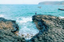 PHÚ YÊN _ HOA VÀNG TRÊN CỎ XANH