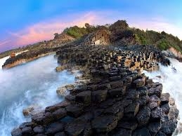 PHÚ YÊN _ HOA VÀNG TRÊN CỎ XANH