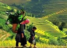 MOTOBIKE TOUR ( DAY TOUR )