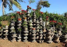 PHÚ YÊN _ HOA VÀNG TRÊN CỎ XANH