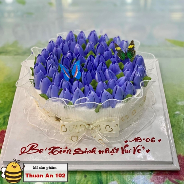 Bánh kem sinh nhật Thuận An Bình Dương 102