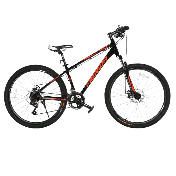 Xe đạp địa hình Merida Warridr 300 ds Hiện đại Ấn tượng Xe