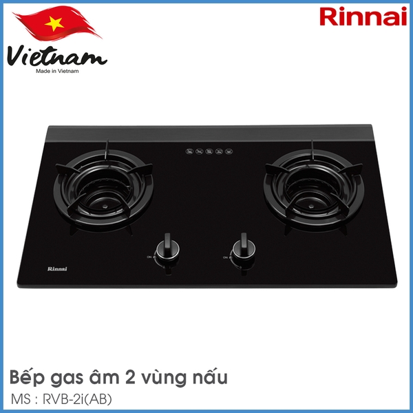 Bếp Gas Âm Rinnai RVB-2i(AB)