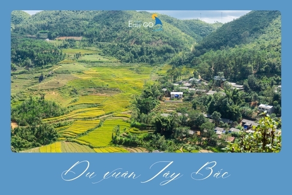 Du Xuân Tây Bắc 2025: Trải Nghiệm Nên Có Một Lần Trong Đời