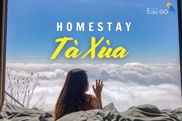 Review 12 Homestay Tà Xùa View Đẹp, Giá Rẻ Cho Chuyến Săn Mây 2024
