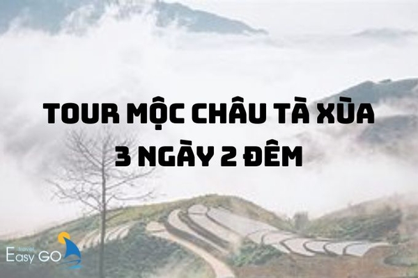 Hành trình săn mây hấp dẫn với Tour Mộc Châu Tà Xùa 3 ngày 2 đêm