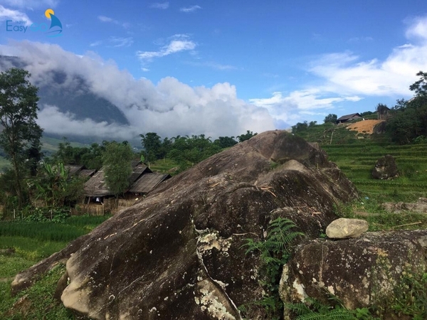 Cảnh đẹp Sapa - bãi đá cổ Mường Hoa